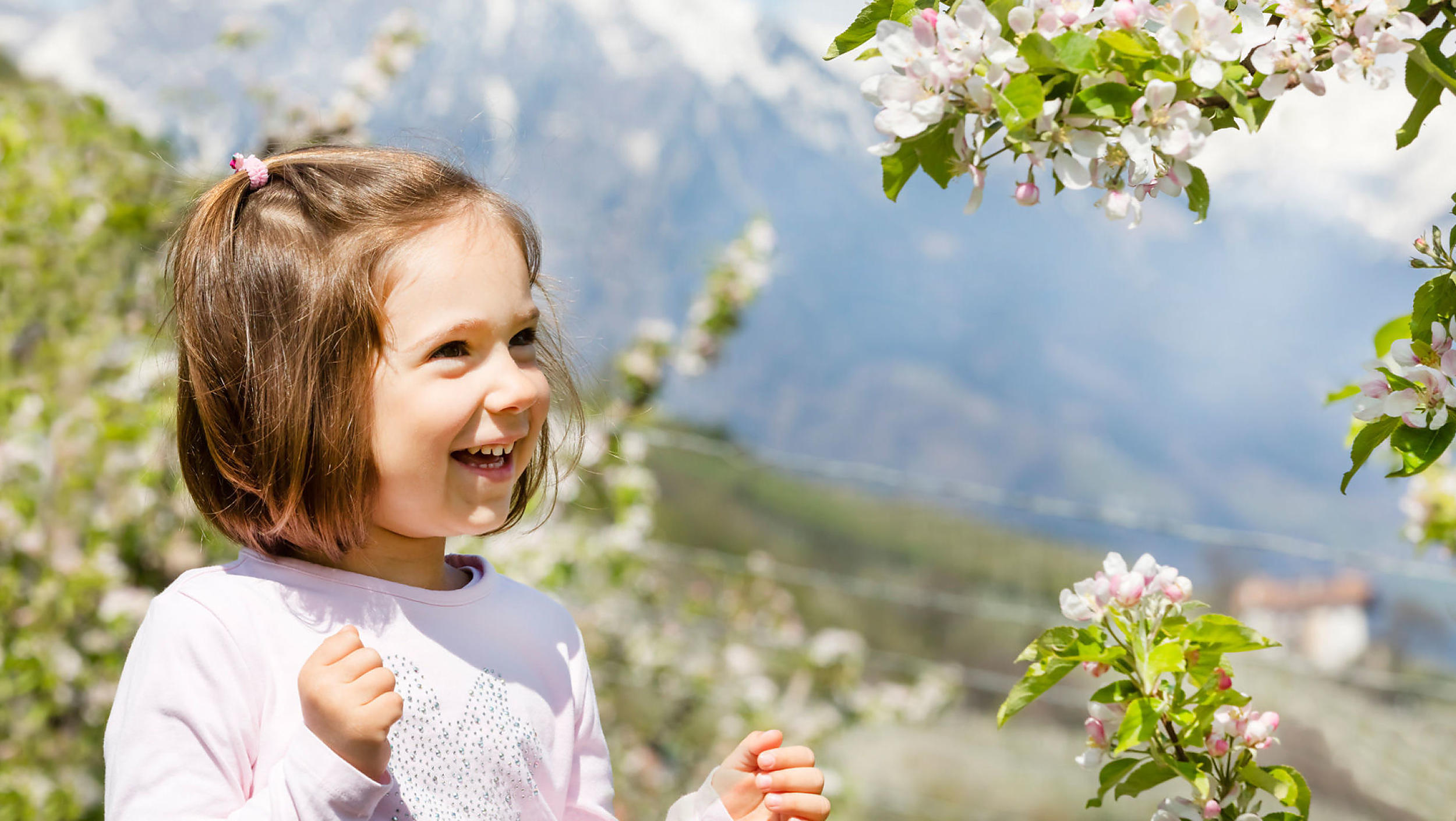Scoprire i piccoli segreti della natura