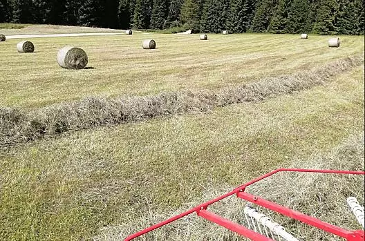 Lavoro sul campo con il fieno.