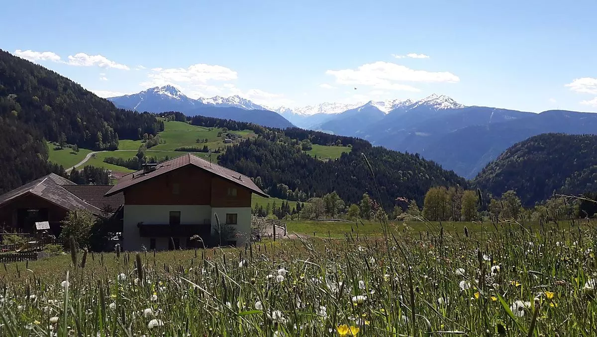 Primavera al maso Brunnerhof