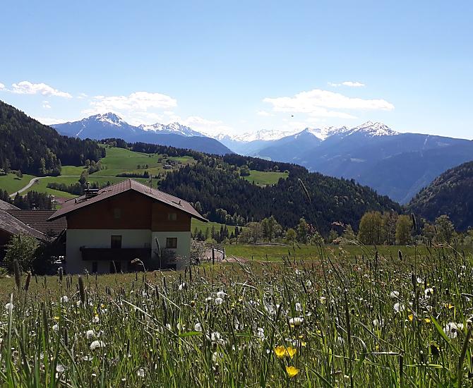 Primavera al maso Brunnerhof