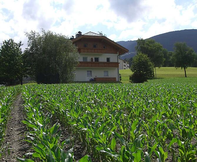 Unterhauserhof - Bildergalerie Photo