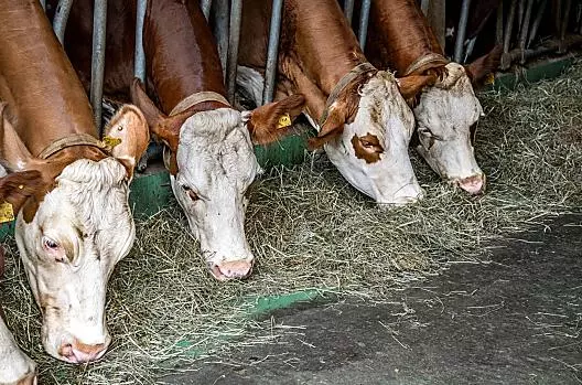 Zemmerhof - Liste Photo
