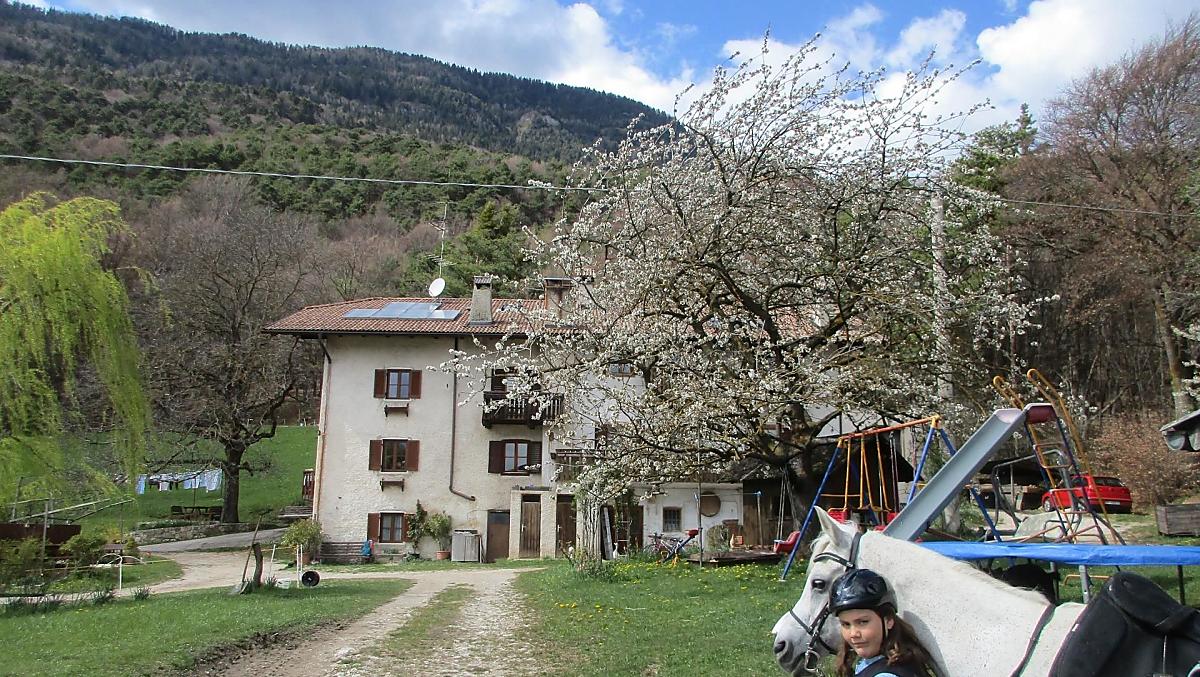 Passeggiate a cavallo