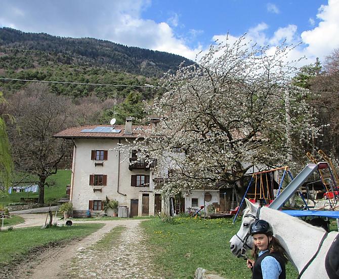 Passeggiate a cavallo