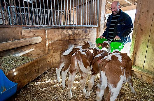 Braunhof - Liste Photo