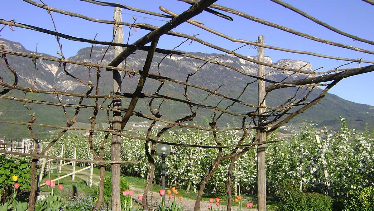 Weisshauserhof - Bildergalerie Photo