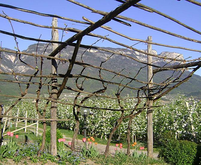 Weisshauserhof - Bildergalerie Photo