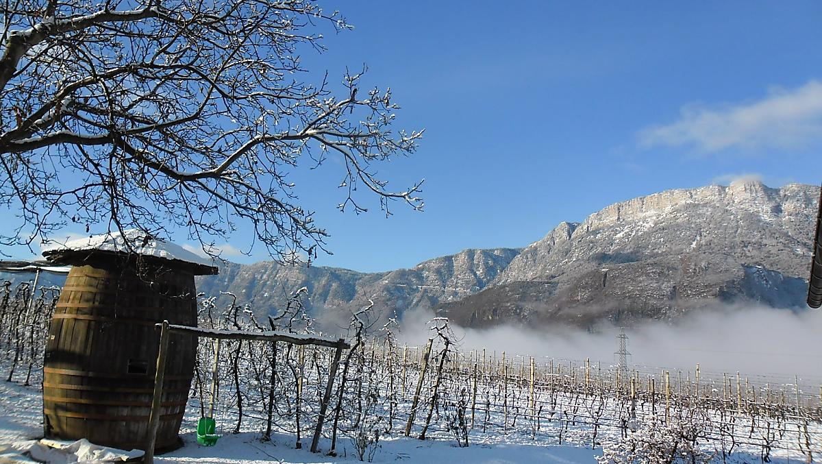 Weisshauserhof - Bildergalerie Photo