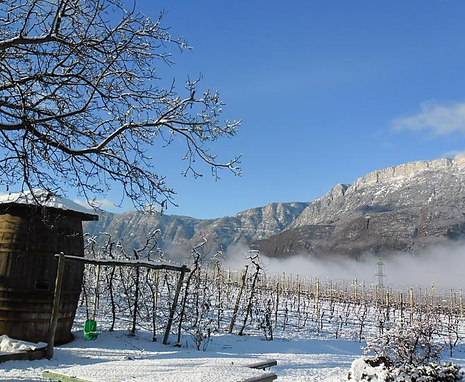 Weisshauserhof - Bildergalerie Photo