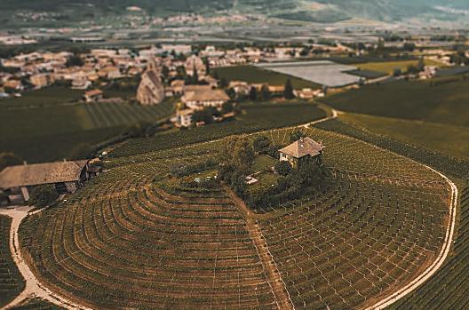 Weingut Baron Longo  - Liste Photo