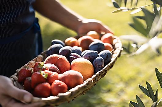 In estate potrete gustare frutta e verdura fresca direttamente dal nostro orto.