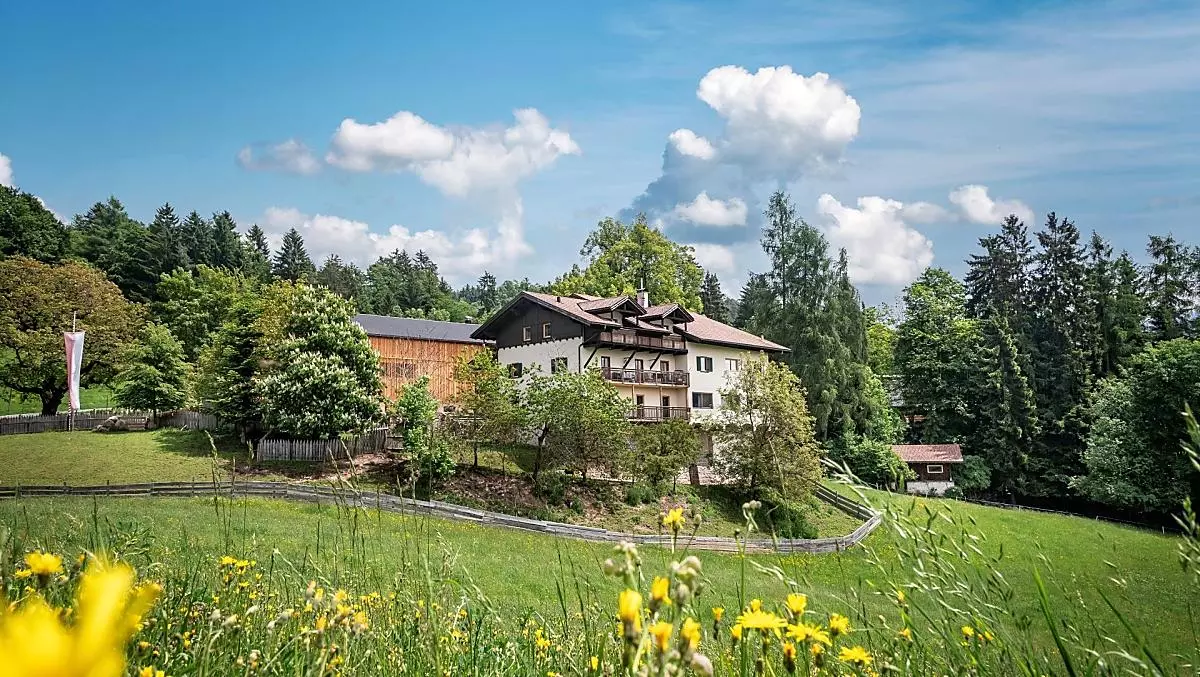 Wieserhof - Bildergalerie Photo