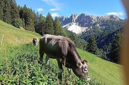Piacere con vista