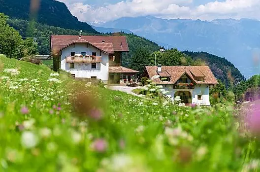 Steckerhof - Liste Photo