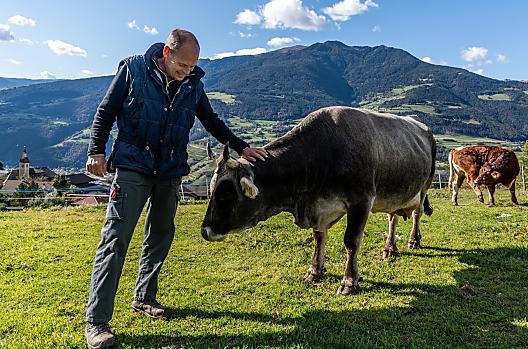 Widmannhof - Liste Photo