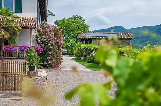 Weinhof - Liste Photo