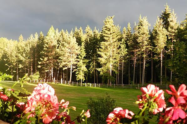 Lärchhof - Zimmer & Wohnungen Photo