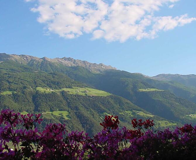 Aussicht vom Balkon