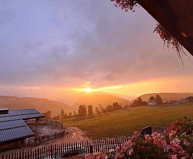 Ausblick vom Balkon