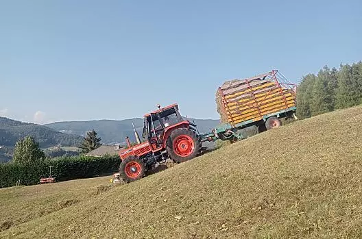 Fienagione