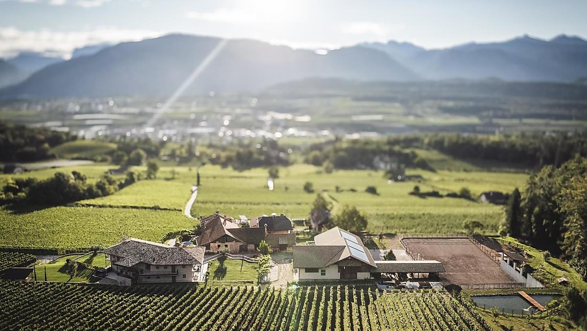 Il maso Nofnerhof dall’alto: il maneggio immerso tra i vigneti e il bosco.