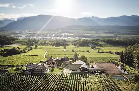 Il maso Nofnerhof dall’alto: il maneggio immerso tra i vigneti e il bosco.