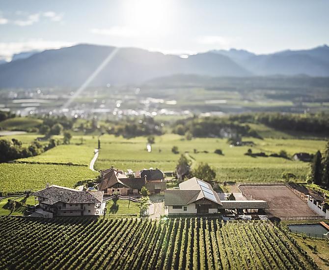 Il maso Nofnerhof dall’alto: il maneggio immerso tra i vigneti e il bosco.