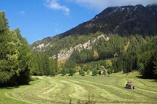 Taglio del fieno