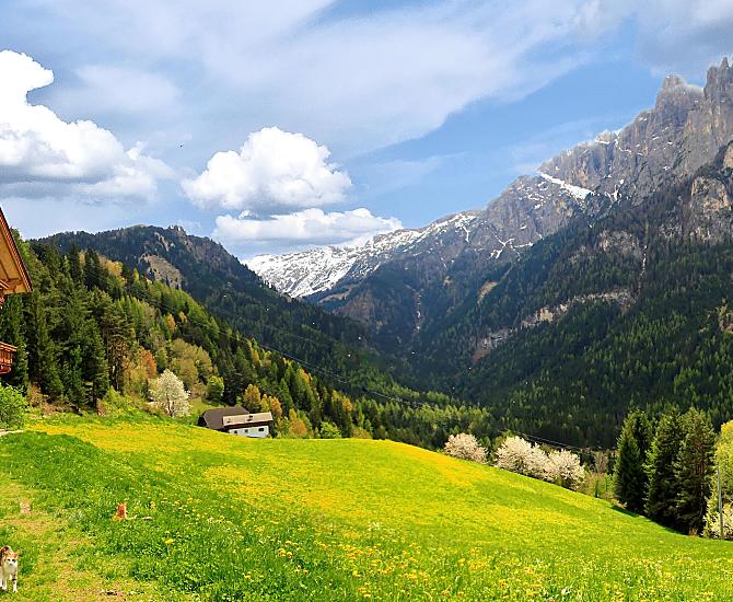 La primavera si fa strada con tutta la sua energia, risvegliando la terra dal sonno invernale