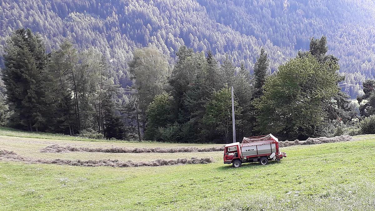 È tempo del secondo taglio: si porta in stalla il cosiddetto "grummet"