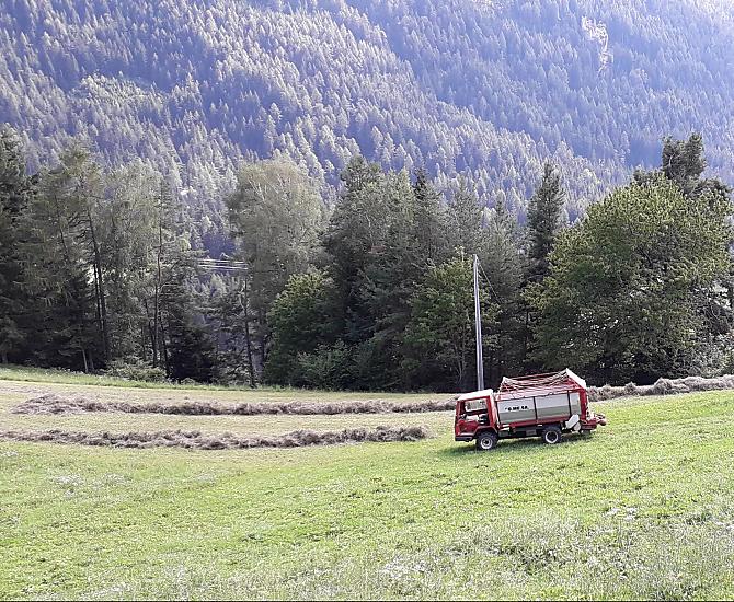 È tempo del secondo taglio: si porta in stalla il cosiddetto "grummet"