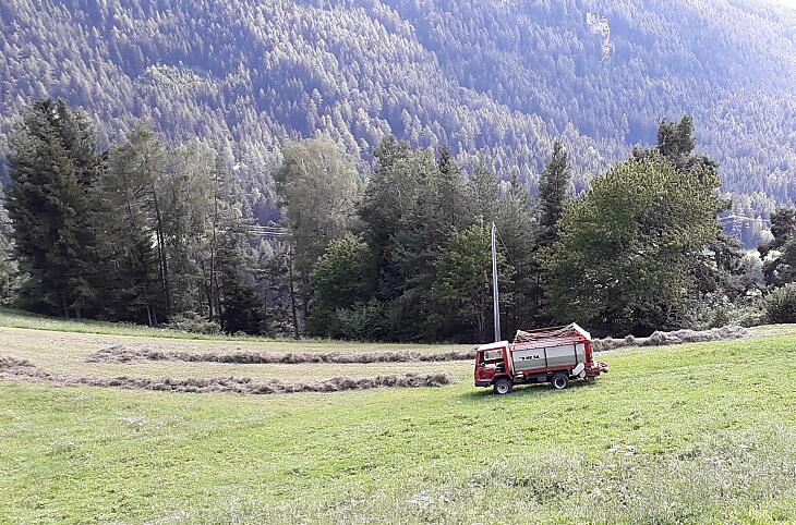 È tempo del secondo taglio: si porta in stalla il cosiddetto "grummet"
