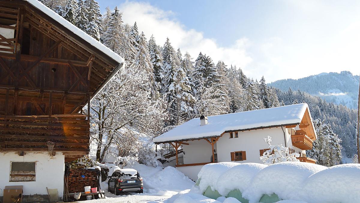 Finalmente tanta neve, che gioia!