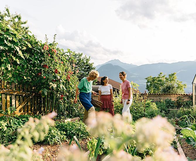 Ortaggi ed erbe aromatiche coltivati nel nostro maso