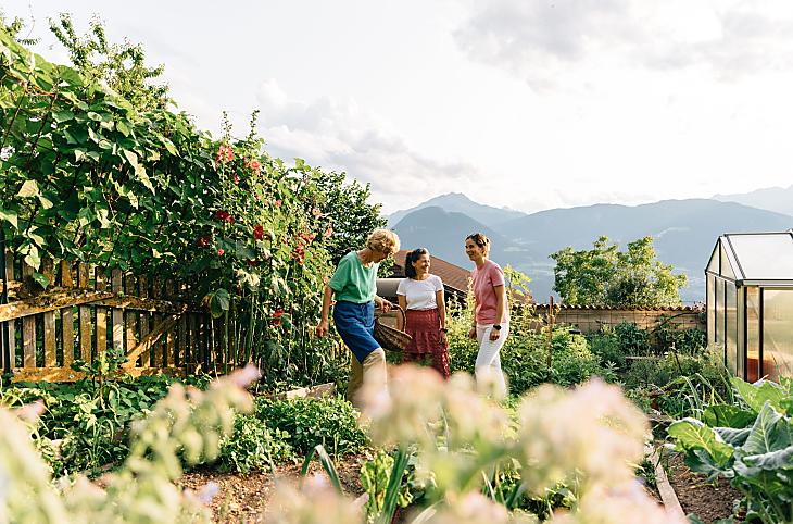 Ortaggi ed erbe aromatiche coltivati nel nostro maso