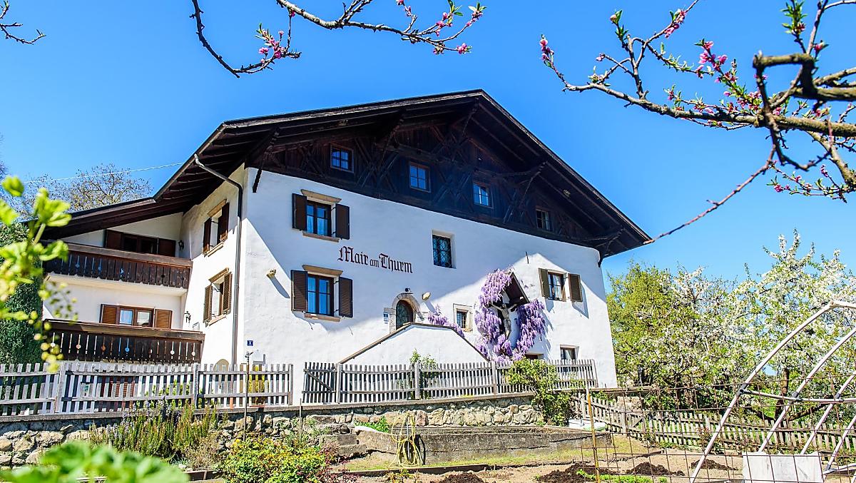Mair am Turm - Bildergalerie Photo