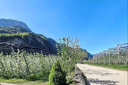 Versigglhof - Liste Photo