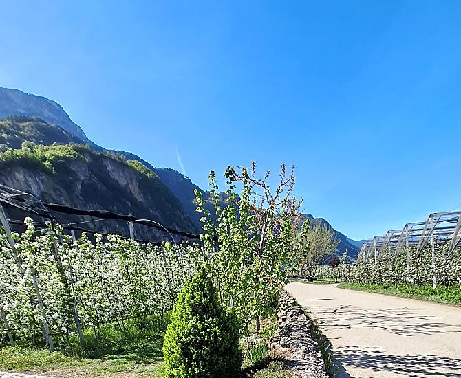 Versigglhof - Bildergalerie Photo