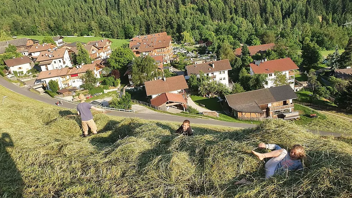 Zalnerhof - Bildergalerie Photo