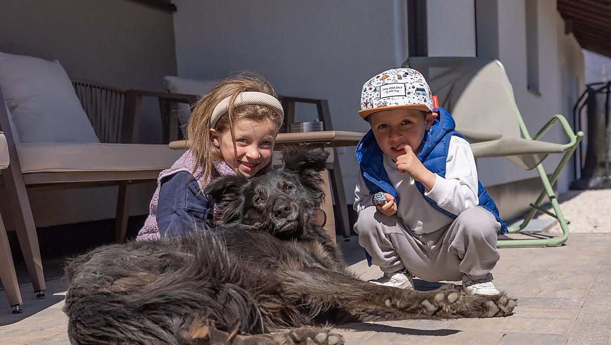 I bambini adorano accarezzare Lilli, la nostra dolce cagnolina del maso.