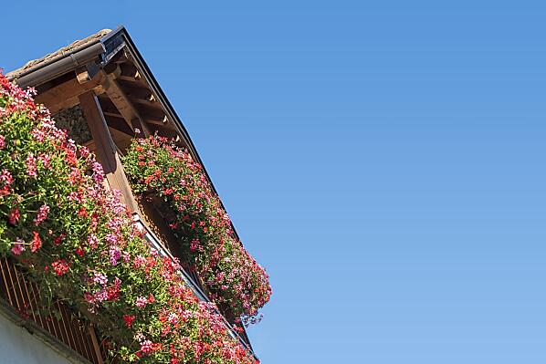 Südbalkon mit herrlicher Aussicht