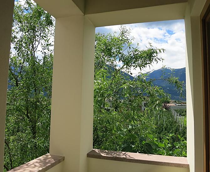 Feldererhof - Bildergalerie Photo