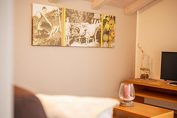 Gutshof Moser - Zimmer & Wohnungen Photo