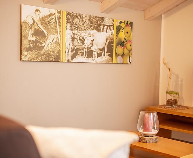 Gutshof Moser - Bildergalerie Photo
