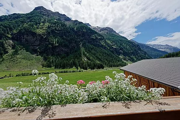 Niederunterer Hof - Zimmer & Wohnungen Photo
