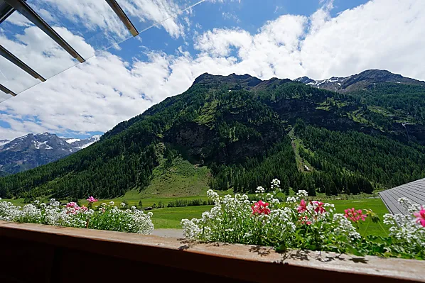 Niederunterer Hof - Zimmer & Wohnungen Photo