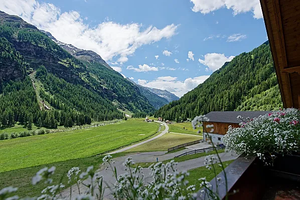 Niederunterer Hof - Zimmer & Wohnungen Photo