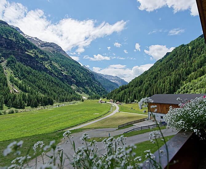 Niederunterer Hof - Bildergalerie Photo