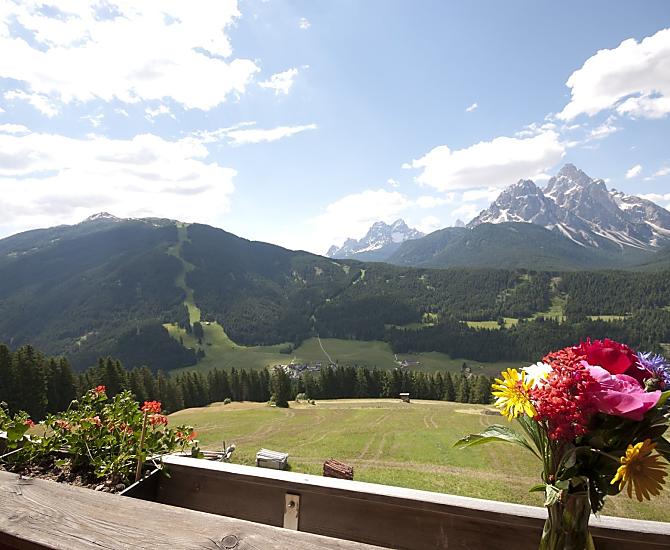 Galler am Berg - Bildergalerie Photo