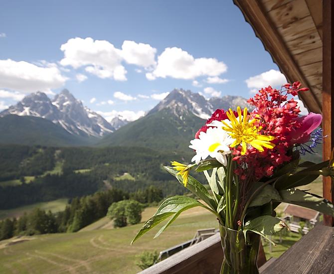 Galler am Berg - Bildergalerie Photo